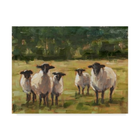 Ethan Harper 'Sheep Family I' Canvas Art,18x24